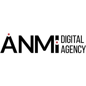 Digital Agency «ANMI»