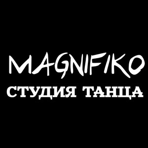Образцовый коллектив Хореографическая студия "Магнифико шоу Дэнс"