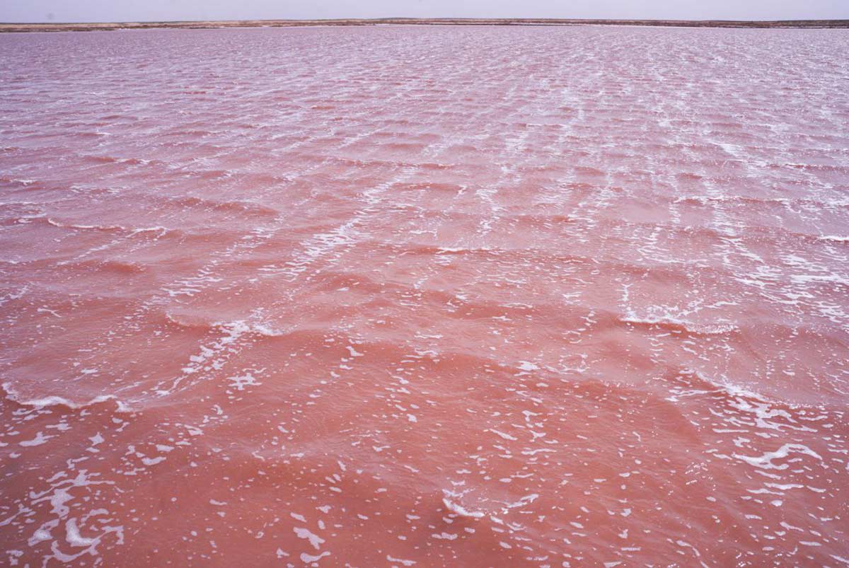 Природный объект Розовое озеро. В озере обитает особый микроскопический рачок, который и придает воде такой оттенок